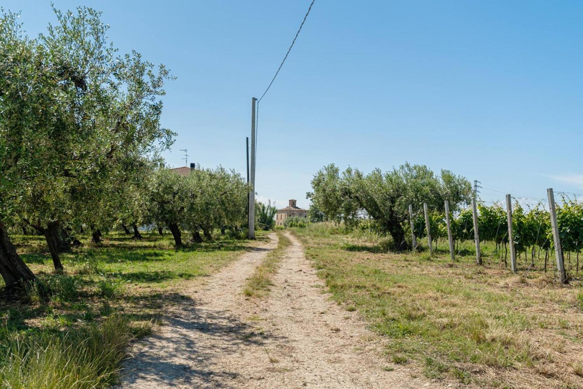 Villa Turin - Yourplace Abruzzo Torino di Sangro Esterno foto